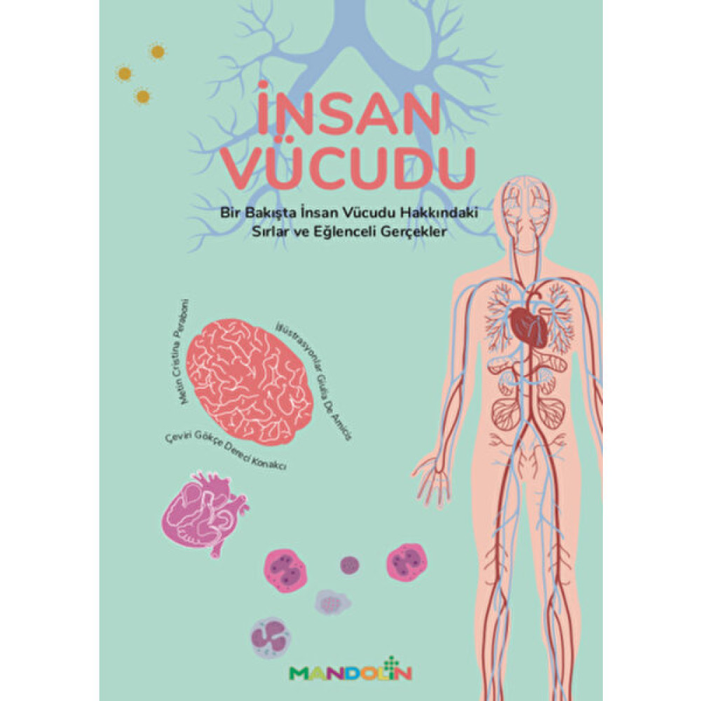 İnsan Vücudu - Cristina Peraboni Bilim & Teknik Fiyatı