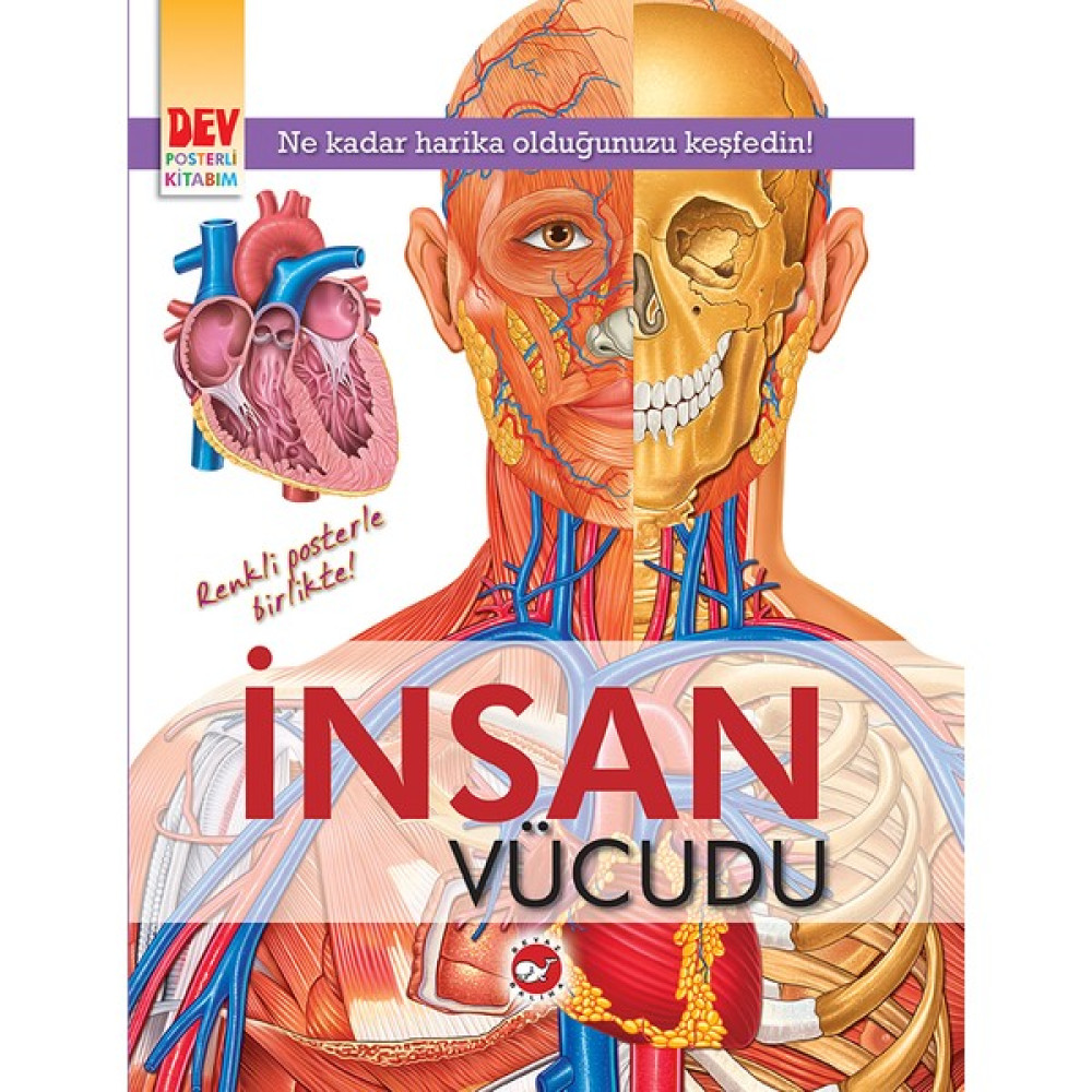 İnsan Vücudu: Dev Posterli Kitabım Kaynak Kitapları Fiyatı