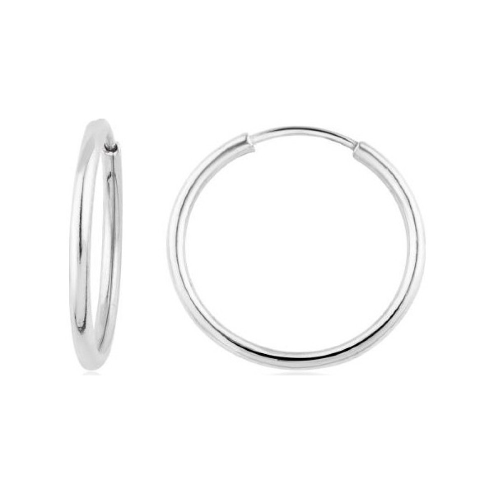 İryum 14 Ayar Halka Küpe Beyaz (Çapı: 1.8cm) W4E35004 Altın Küpe Fiyatı