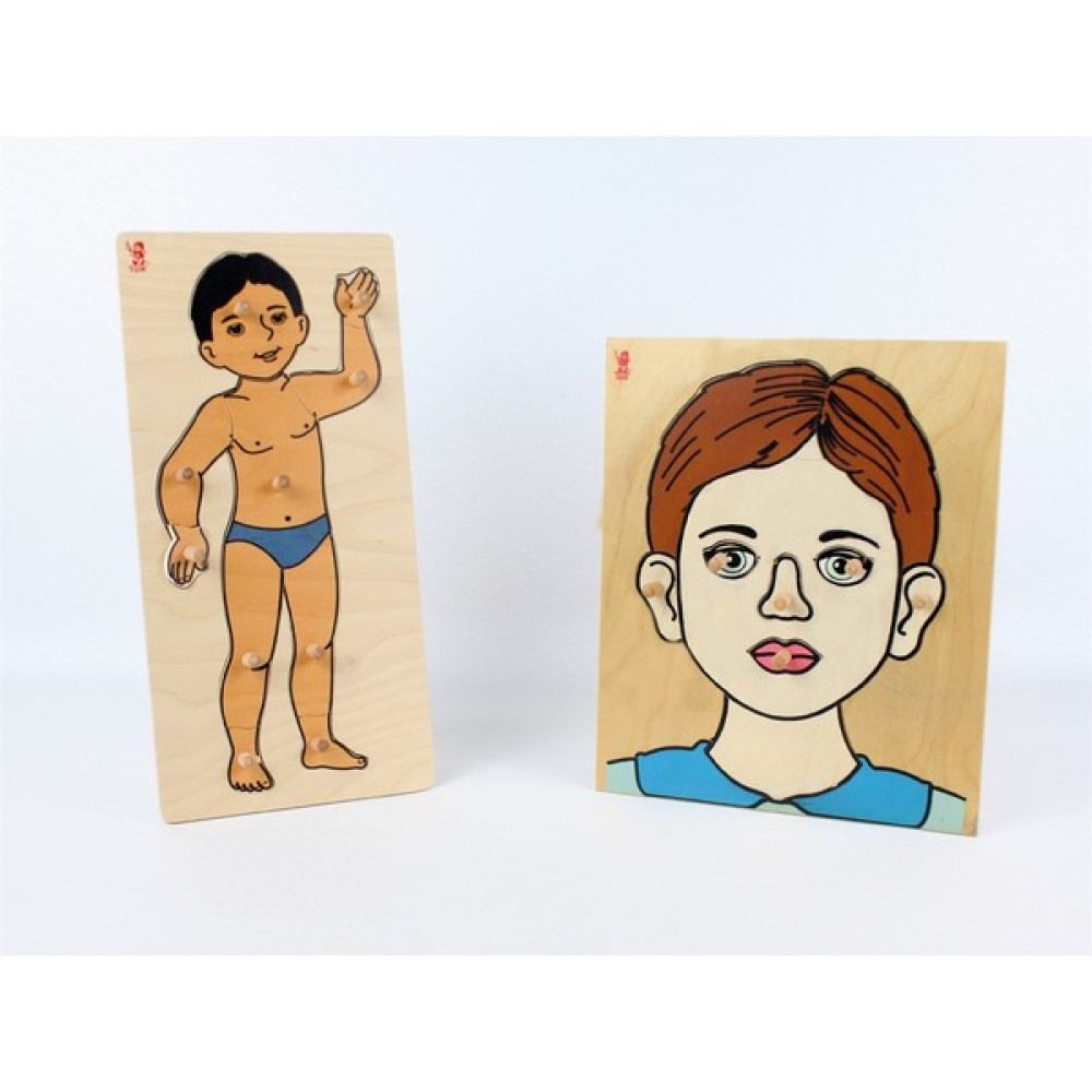 Işık Yayın Oyuncak Ahşap Insan Vücudu,insan Yüzü Puzzle Set Oto Boyaları Fiyatı
