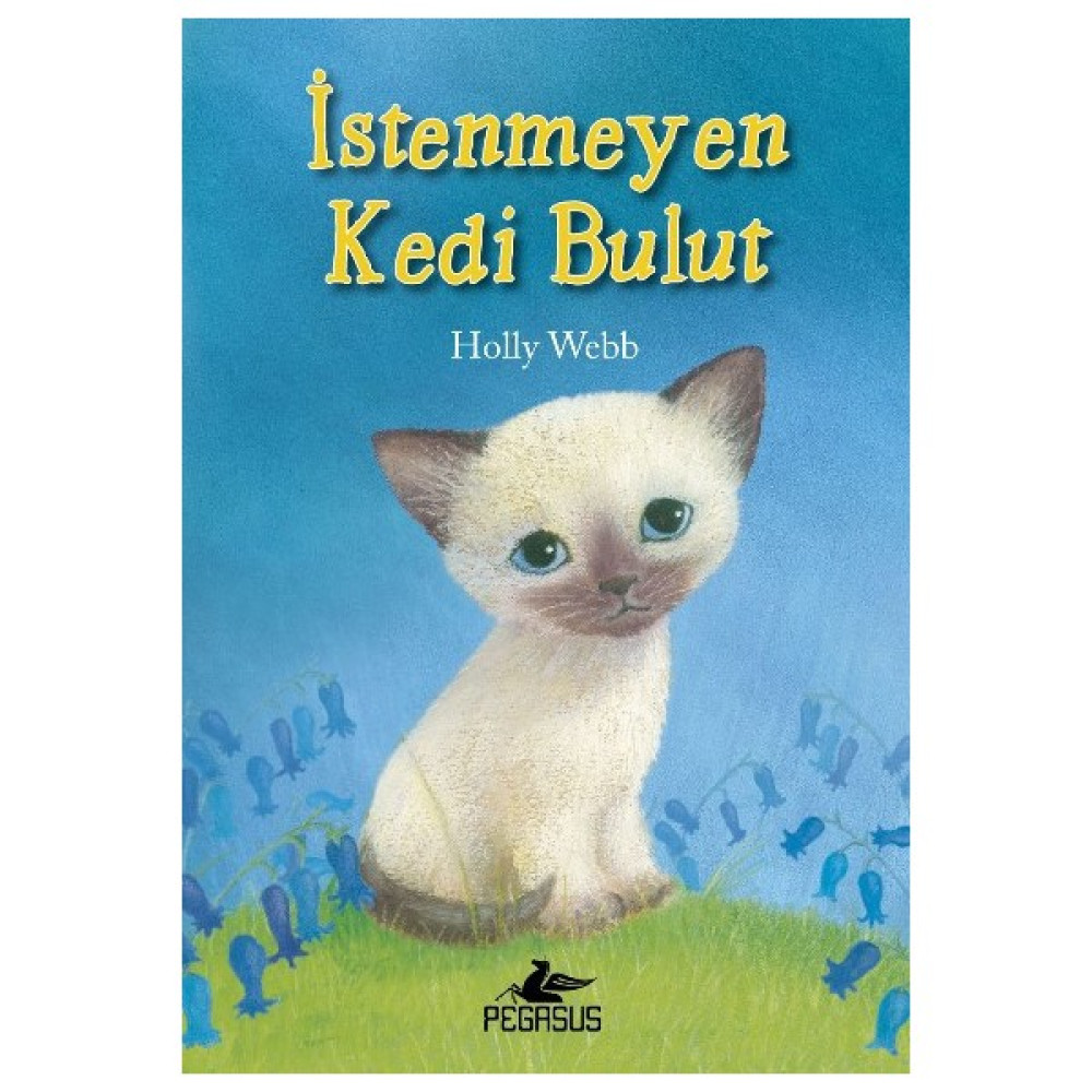 İstenmeyen Kedi Bulut Çocuk Masal Fiyatı