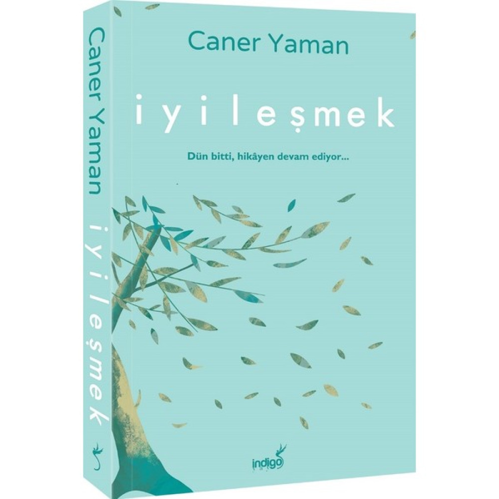 İyileşmek Deneme - İnceleme Fiyatı