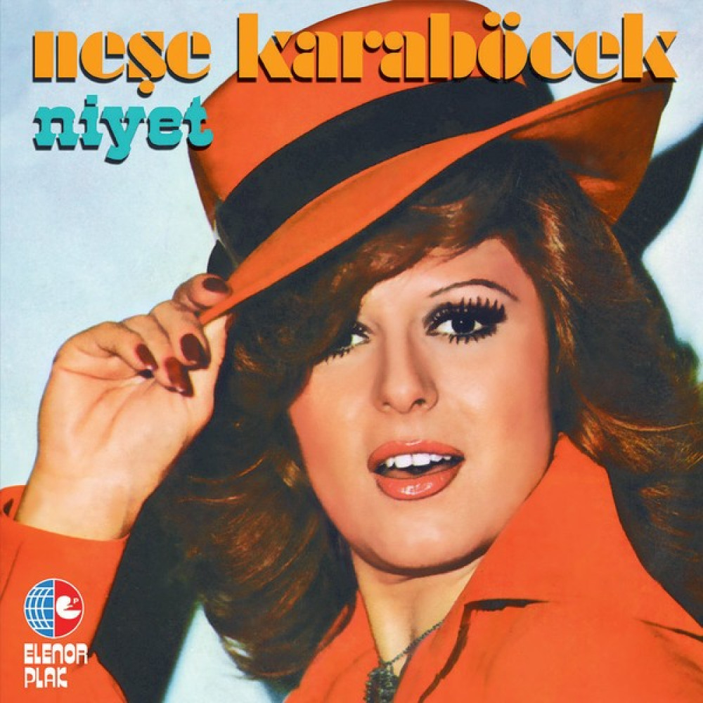 İz Müzik Neşe Karaböcek Niyet Plak Pikap & Aksesuarları Fiyatı