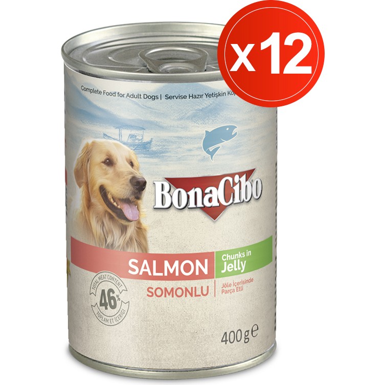 Jöleli Somonlu Yaş Köpek Maması, 400 gr x 12 Adet, Tüm Irklar Için, Doğal, Şeker Içermez Evcil Hayvan Ürünleri Fiyatı