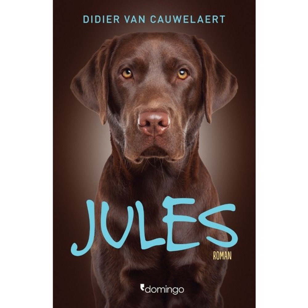 Jules - Didier Van Cauwelaert Öykü Kitapları Fiyatı