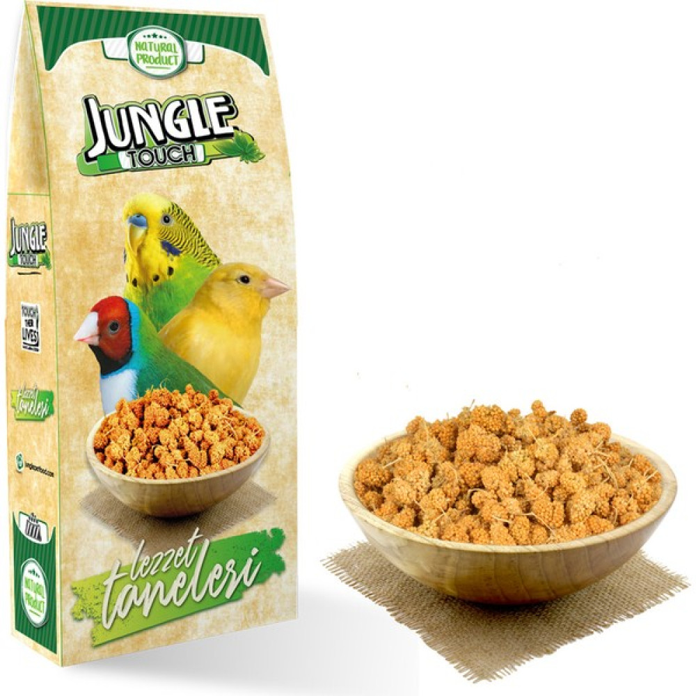 Jungle Touch Lezzet Taneleri 150 gr 5 Adet Oto Boyaları Fiyatı