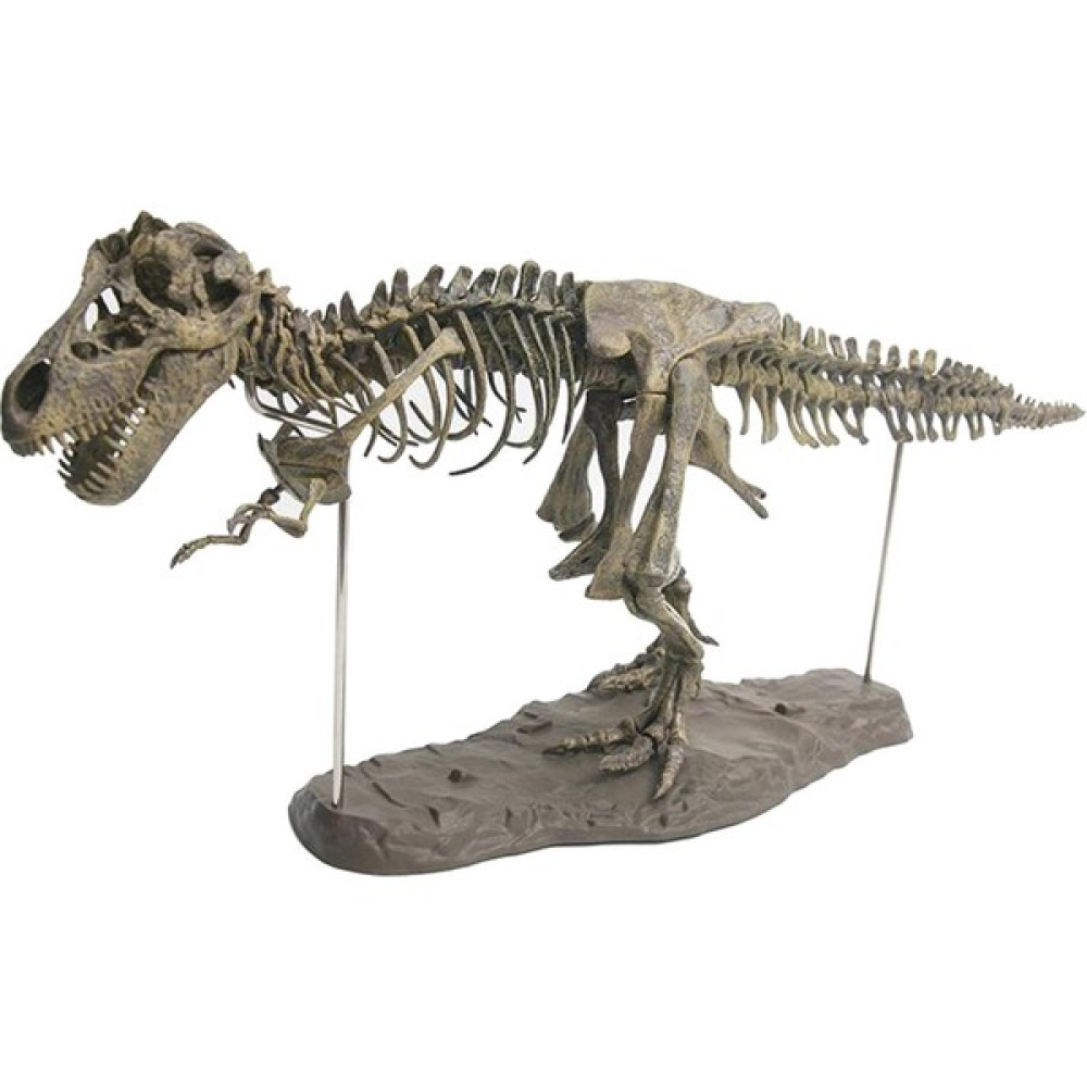 Jurnish 4d Dinozor Iskelet Modeli Bloklar Kitler Erkekler Için Hediye Erkek Kız Kızlar 70X12X22CM Puzzle & Aksesuarları Fiyatı