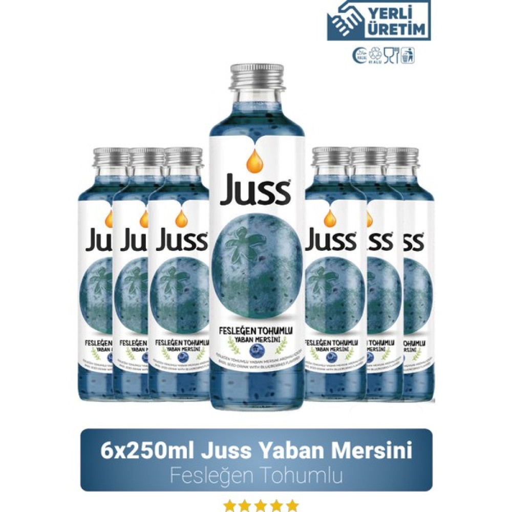 Juss Fesleğen Tohumlu Yaban Mersini Aromalı Meyve Suyu 6'lı 250 ML Diğer Fiyatı
