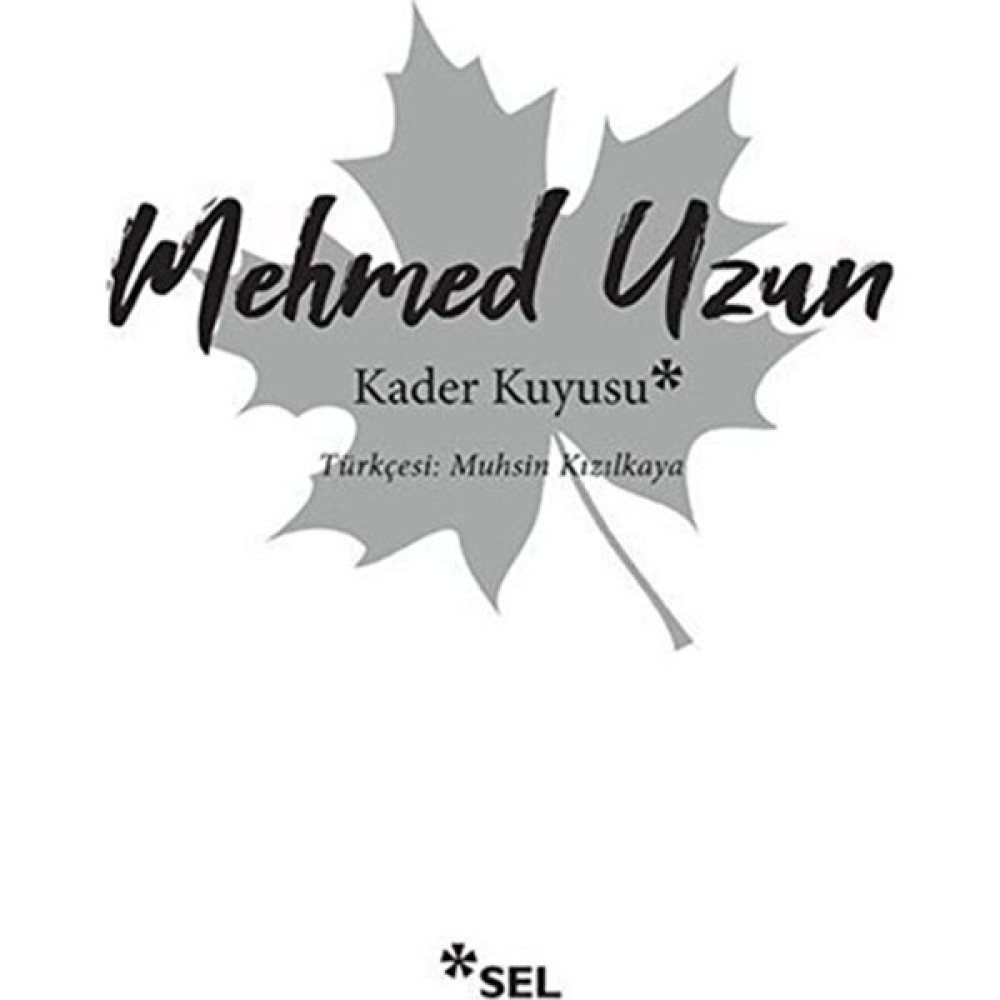 Kader Kuyusu - Mehmed Uzun Edebiyat Fiyatı