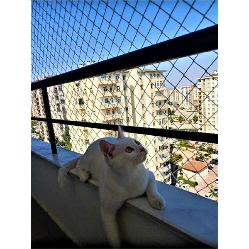\Kadir Tarım 3 x 16 Metre Kedi Koruma Filesi Balkon Filesi 2 mm Kedi Güvenlik Filesi Bebek Güvenlk Filesi - 3 X 16 \ Evcil Hayvan Ürünleri Fiyatı