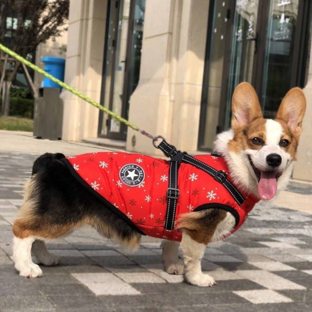 Kaimingyan Noel Köpek Su Geçirmez Yansıtıcı Pamuklu Ceket - Kırmızı (Yurt Dışından) - XL Evcil Hayvan Ürünleri Fiyatı