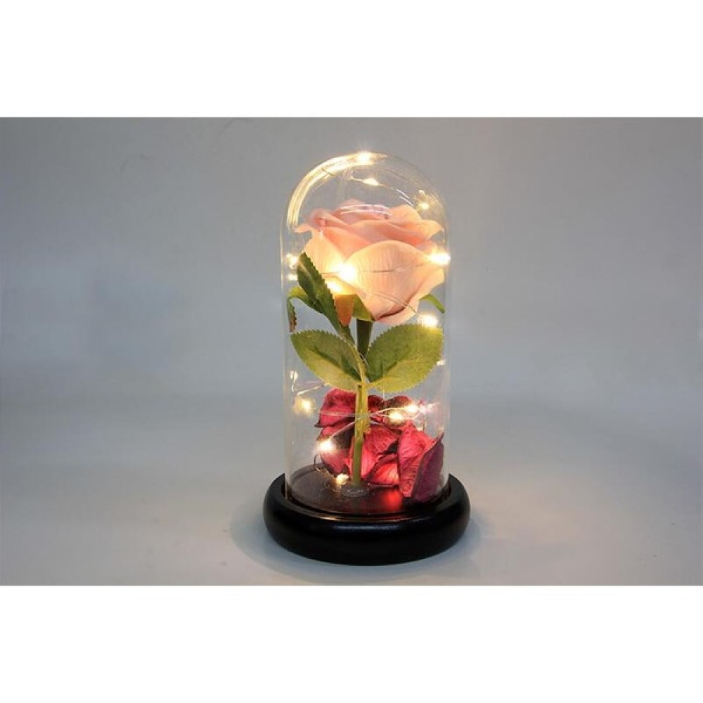 Kaite Fanus Çiçek 19/10CM Cam Fanus Hediyelik LED Işıklı Müzik Aletleri Fiyatı