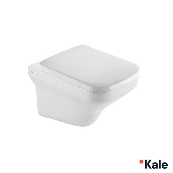Kale Vale Asma Klozet