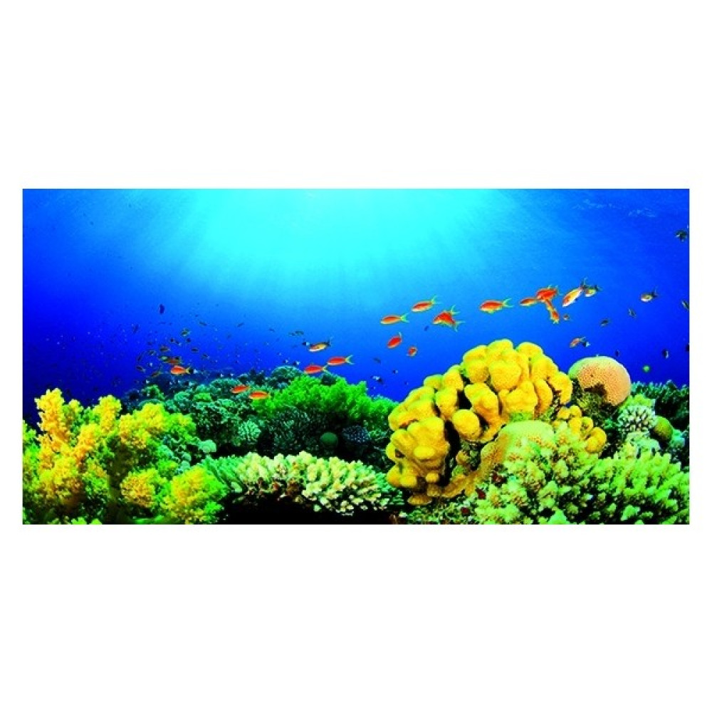 Kanki Pet Akvaryum Arka Fon Yapıştırma 125 x 63 cm KP1256327 Evcil Hayvan Ürünleri Fiyatı