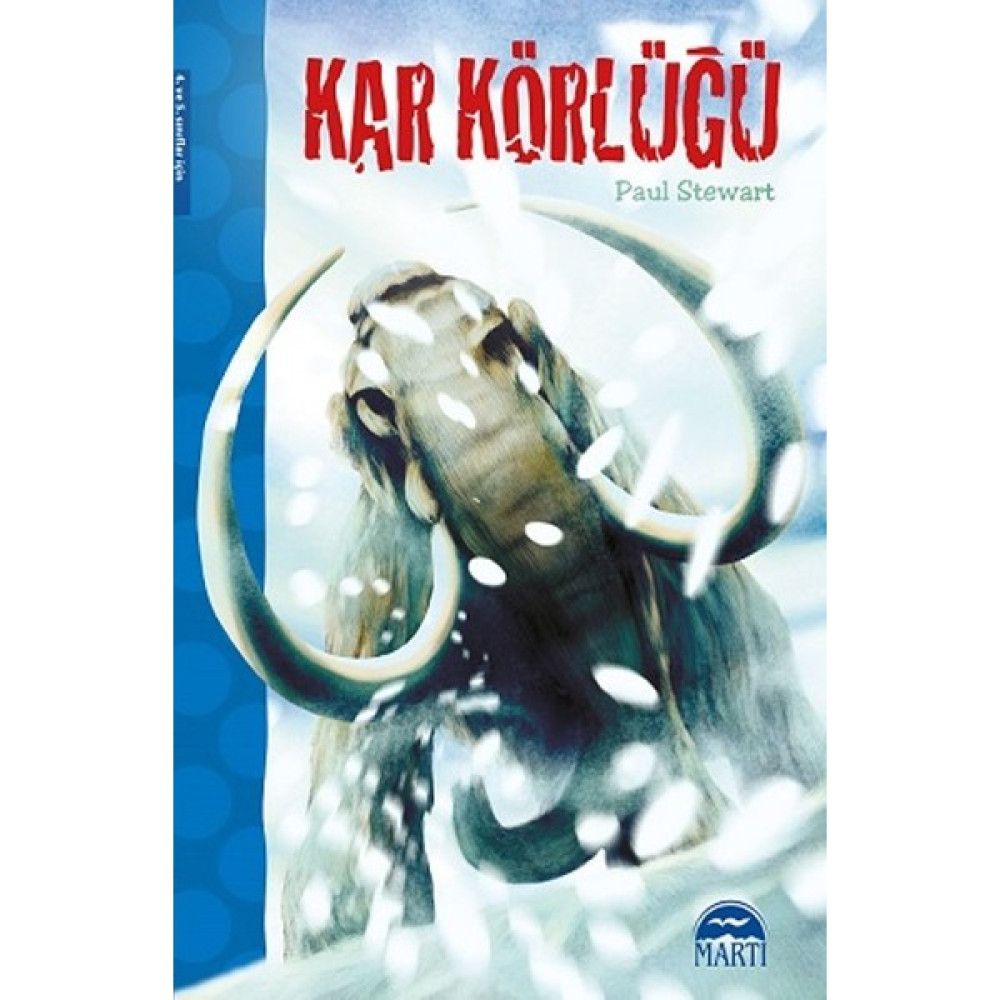 Kar Körlüğü Çocuk Masal Fiyatı