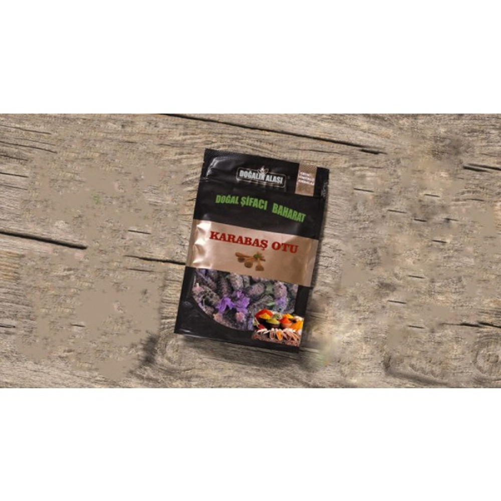 Karabaşotu 100 gr Oto Boyaları Fiyatı