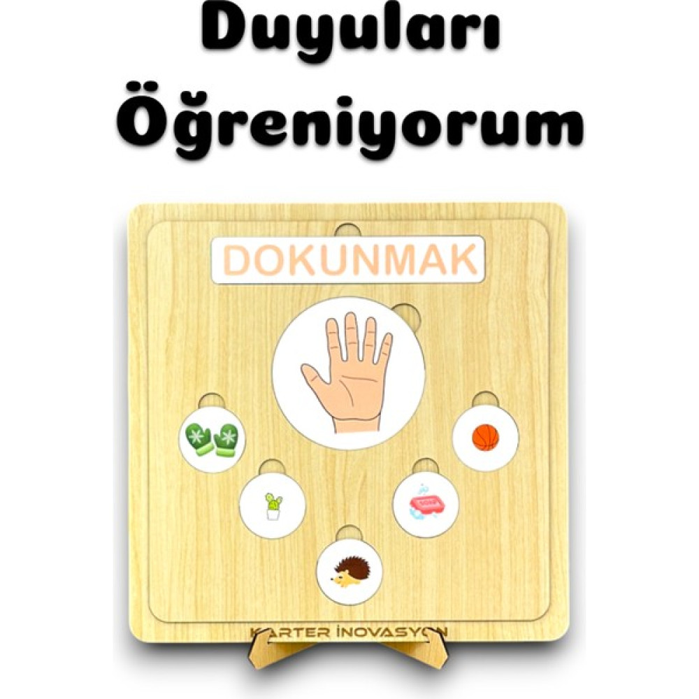 Karter İnovasyon Duyu Organlarını Öğreniyorum,ahşap Duyu Organları, Ahşap Eğitici Oyuncak Oto Boyaları Fiyatı
