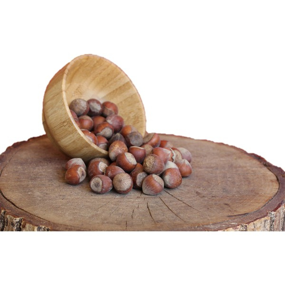 Kavlak Fındık Kabuklu 1 kg Diğer Fiyatı