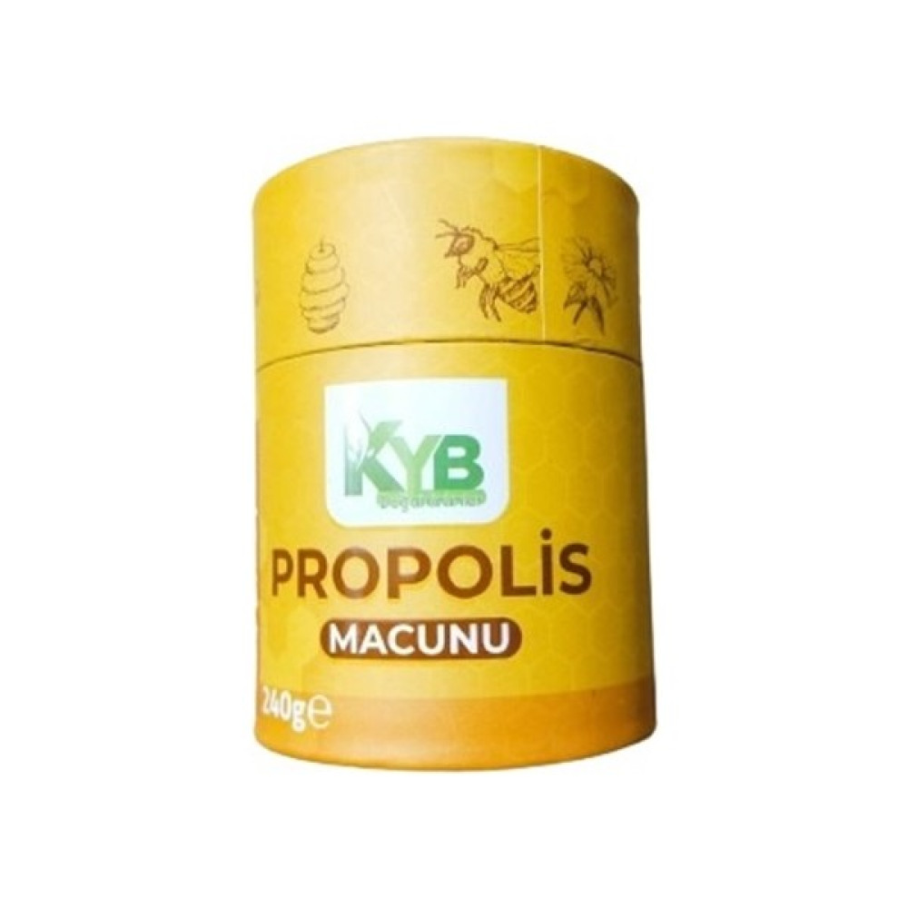 Kayabey Kyb Poropolis Macun 240 gr - 1 Adet Oto Boyaları Fiyatı