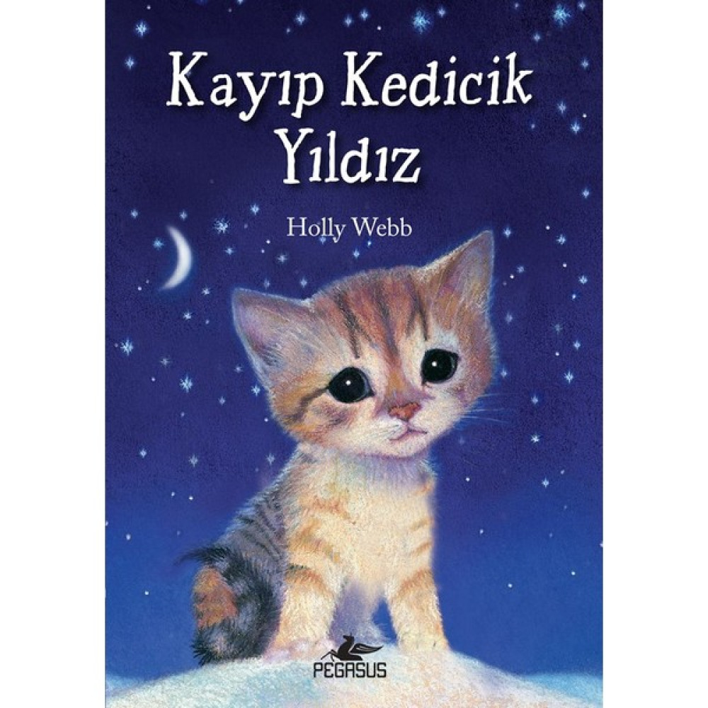 Kayıp Kedicik Yıldız Çocuk Öykü Fiyatı