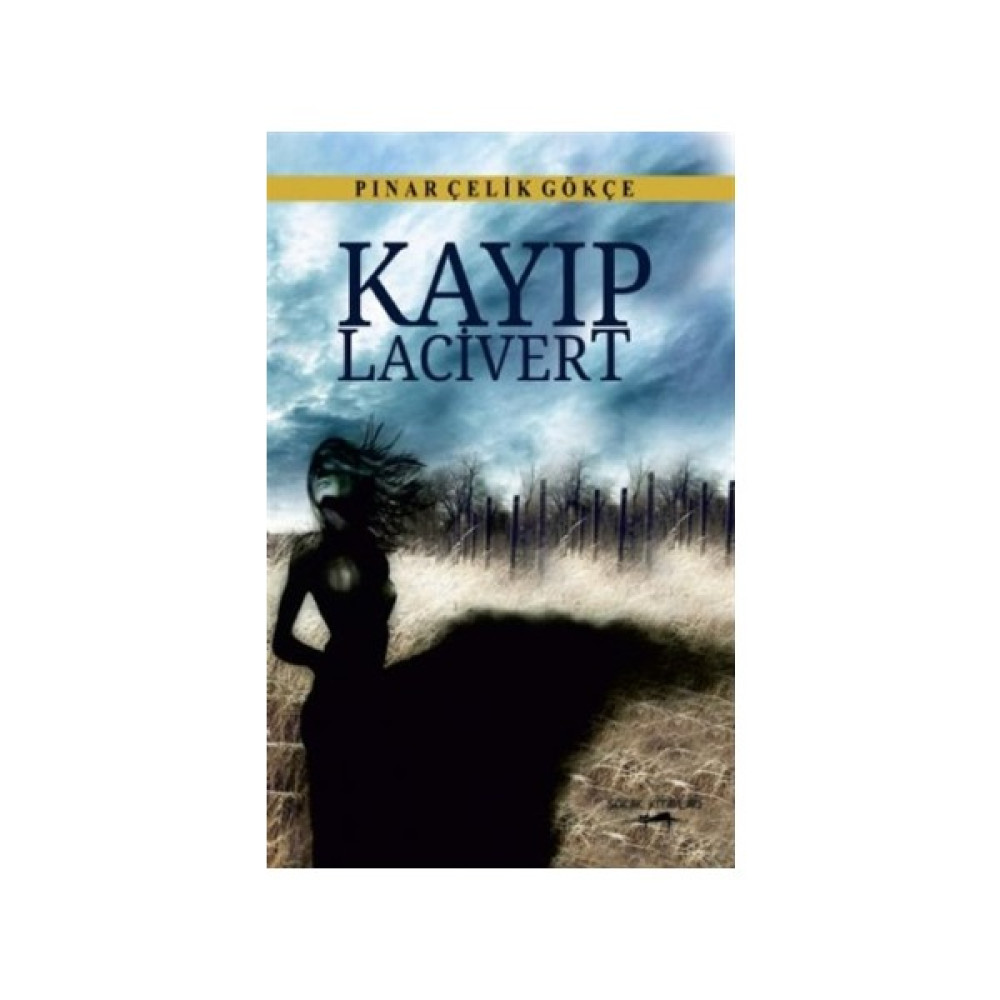 Kayıp Lacivert Edebiyat Fiyatı