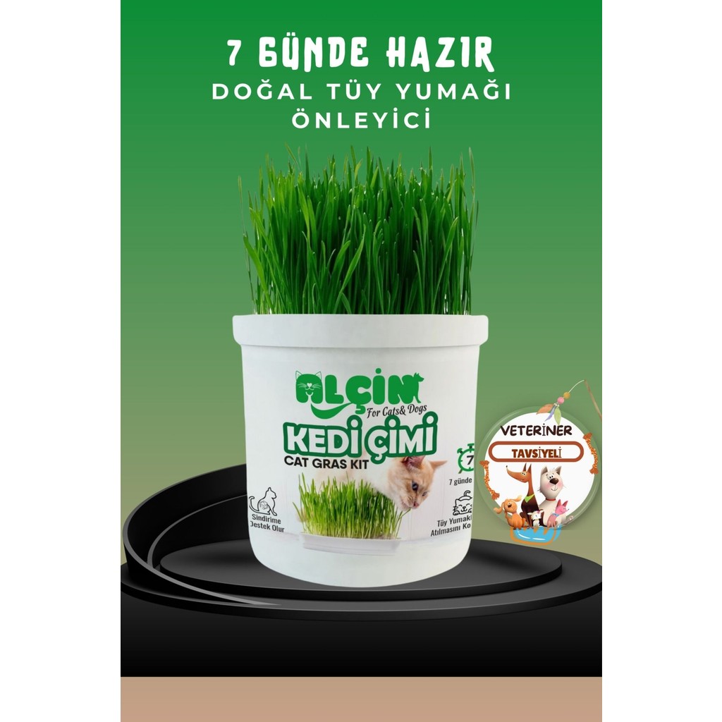 Kedi Çimi Tüy Yumağı Önleyici Etkili Dostu ve %100 Doğal Diğer Fiyatı