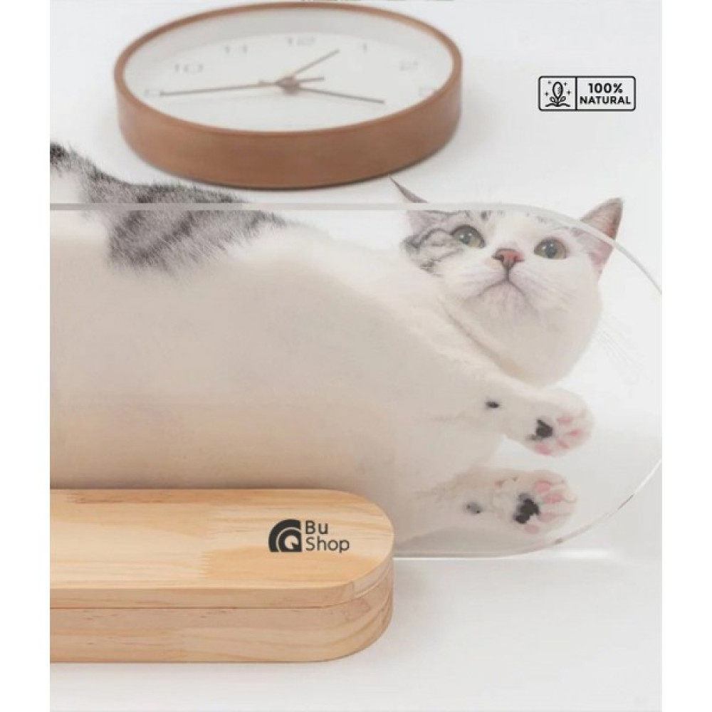 Kedi duvar rafı, Kedi Duvar parkuru, kedi duvar yatağı, Kedi duvar evi, Şeffaf Lüx Kedi Duvar Yatağı, BuShop Plex Serisi 20x40 - Bej Evcil Hayvan Ürünleri Fiyatı