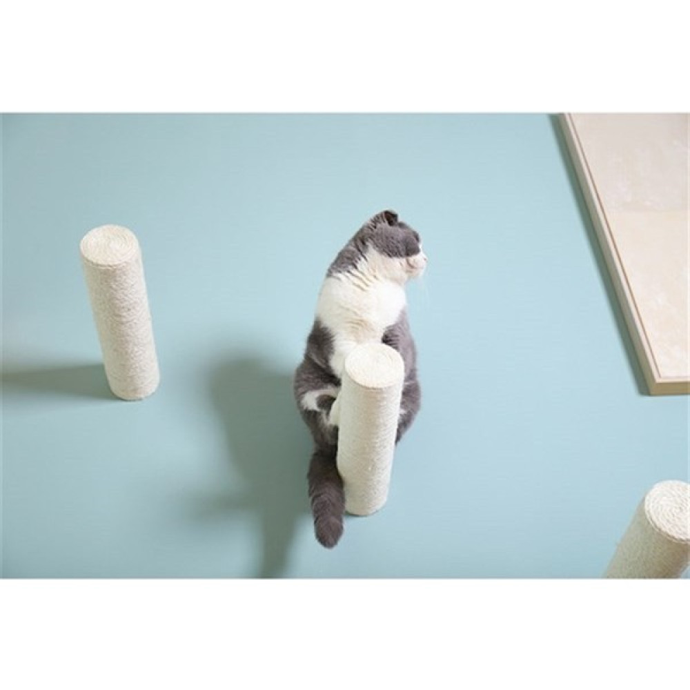 Kedi Duvara Asılabilir Tırmalama Dalı - Beyaz İki Adet Tırmalama ve Atlama Duvar Dalı Seti Evcil Hayvan Ürünleri Fiyatı