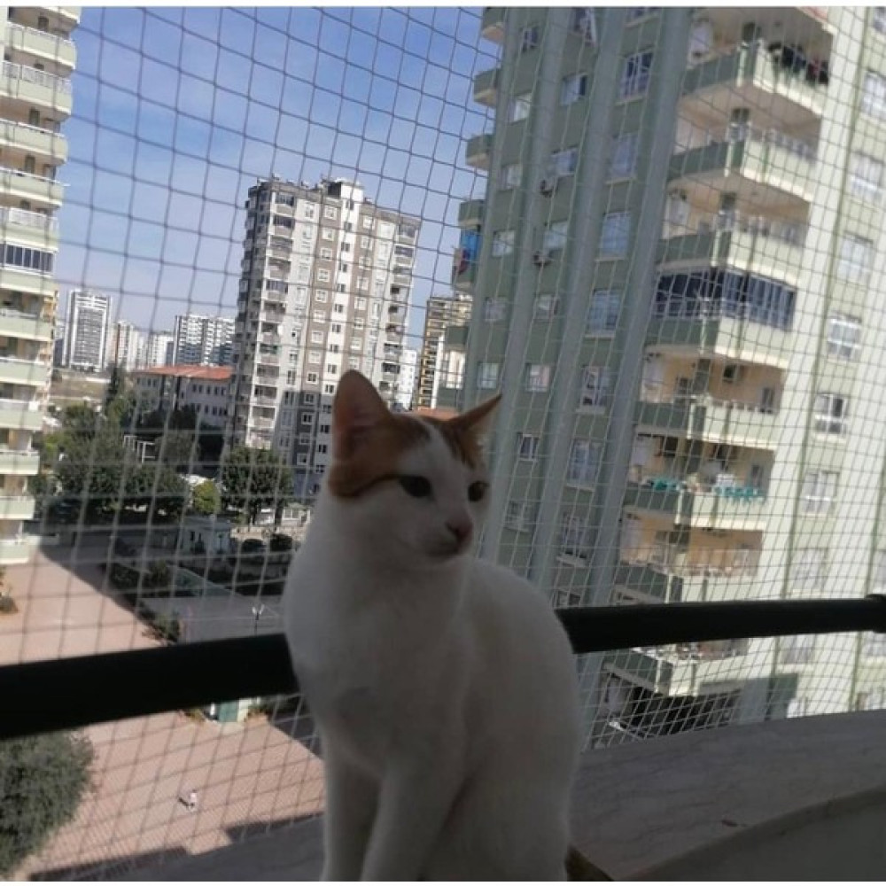 Kedi filesi, hayvan koruma filesi (2.5metre*7metre) - 2.5metre*7metre Bahçe Çiti Fiyatı