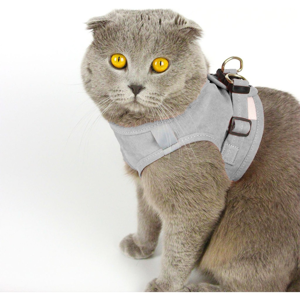 Kedi Gezdirme Tasması - Kedi Tasması Göğüs Tasma Seti Yumuşak Süet Kumaş Gri Renk - Küçük Diğer Fiyatı