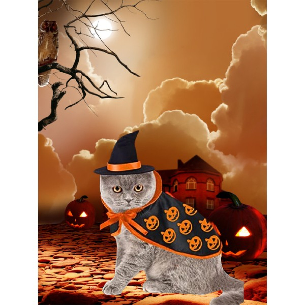 Kedi Kostümü, Kedi Elbisesi, Kedi Kıyafeti ,Şapkalı Takımı Kumaş,halloween Temalı, M Beden - Turuncu Evcil Hayvan Ürünleri Fiyatı
