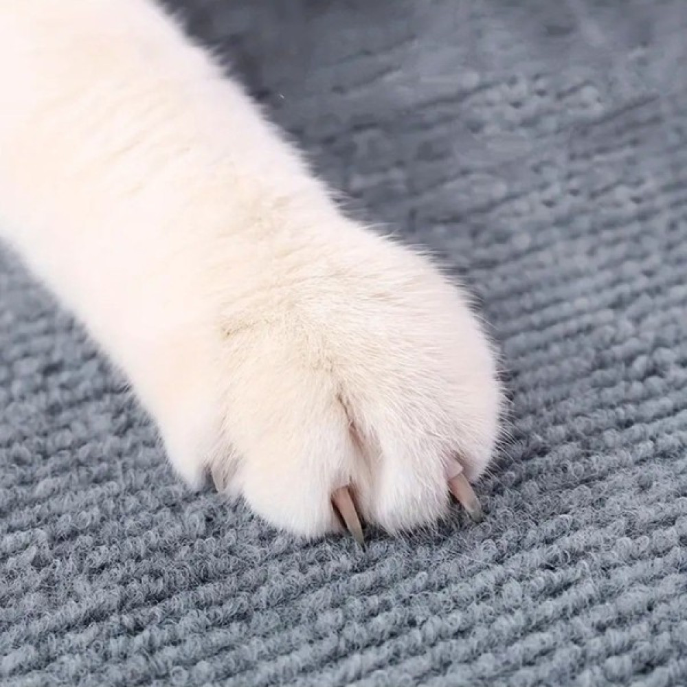 Kedi Tırmalama Halısı Kendinden Yapışkanlı Ev, Duvar Koruma 200X50 - Gri Evcil Hayvan Ürünleri Fiyatı