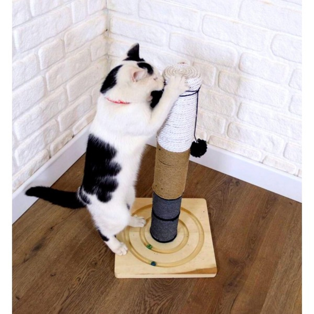 Kedi tırmalama tahtası Kedi tırmanma tahtası 55cm, Doğal Ahşap, Premium Kalite 3 Egzotik Renk - Mavi Evcil Hayvan Ürünleri Fiyatı