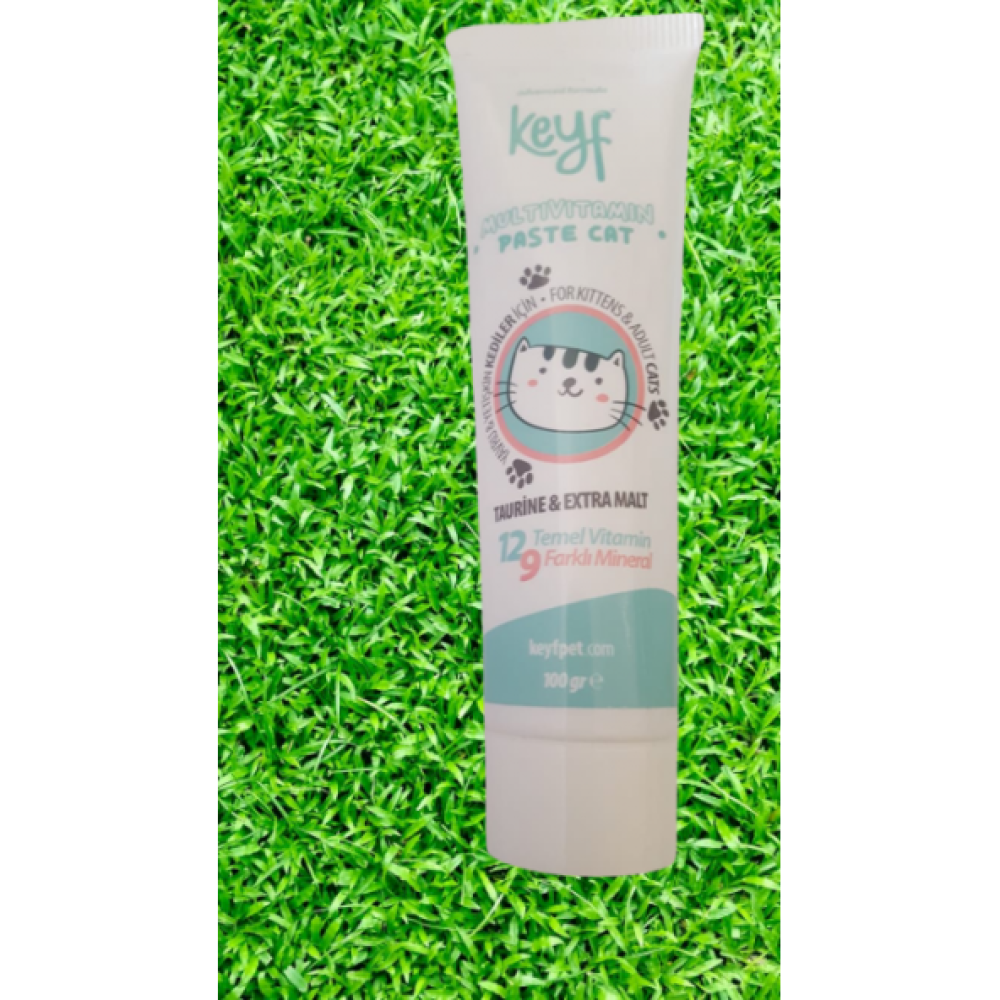 Kedi Vitamini Multivitamin Paste Cat ( 12 Temel Vitamin - 9 Farkli Mineral) Evcil Hayvan Ürünleri Fiyatı
