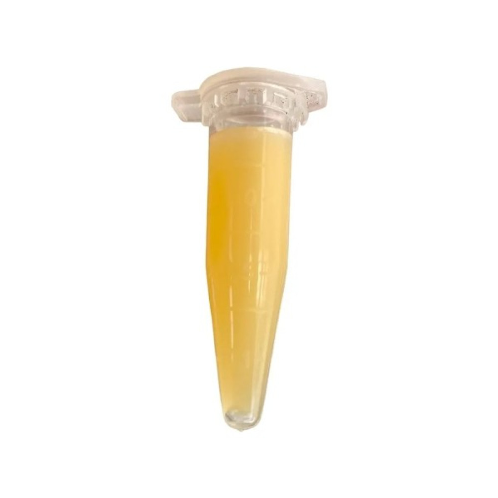 Keiki Macunu Ithal Orijinal Ürün 1.5gr - Orkide ve Bitkiler Için - 1,5 GR Bitki Fiyatı