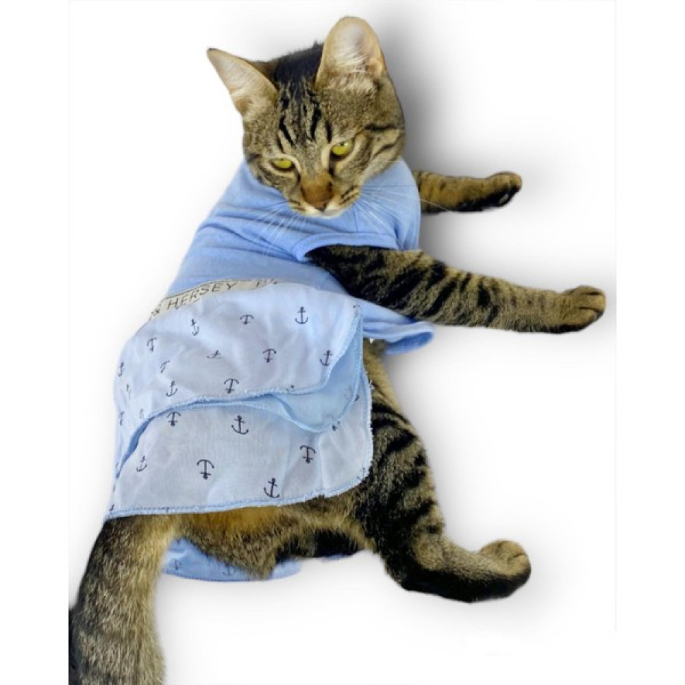 Kemique Blue Hersey Beck Kedi Elbisesi Kedi Kıyafeti - L - Açık Mavi Evcil Hayvan Ürünleri Fiyatı