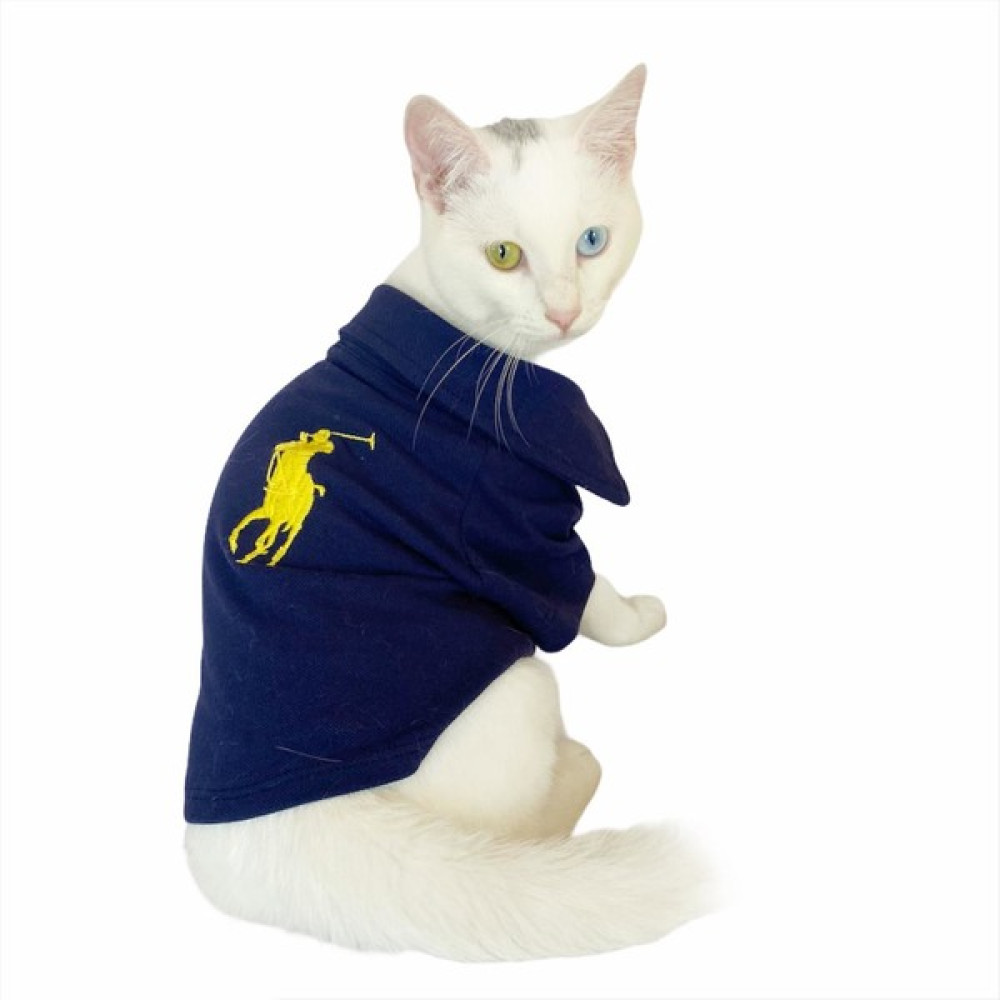 Kemique Rl Navy Yellow Polo Yaka Tişört Kedi Kıyafeti Kedi Elbisesi - 2XL - Mavi Evcil Hayvan Ürünleri Fiyatı