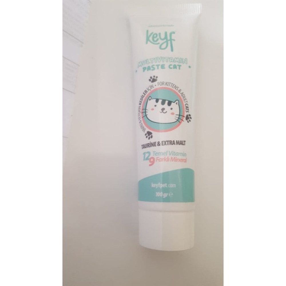 Keyf Multivitamin Paste Cat Oto Boyaları Fiyatı