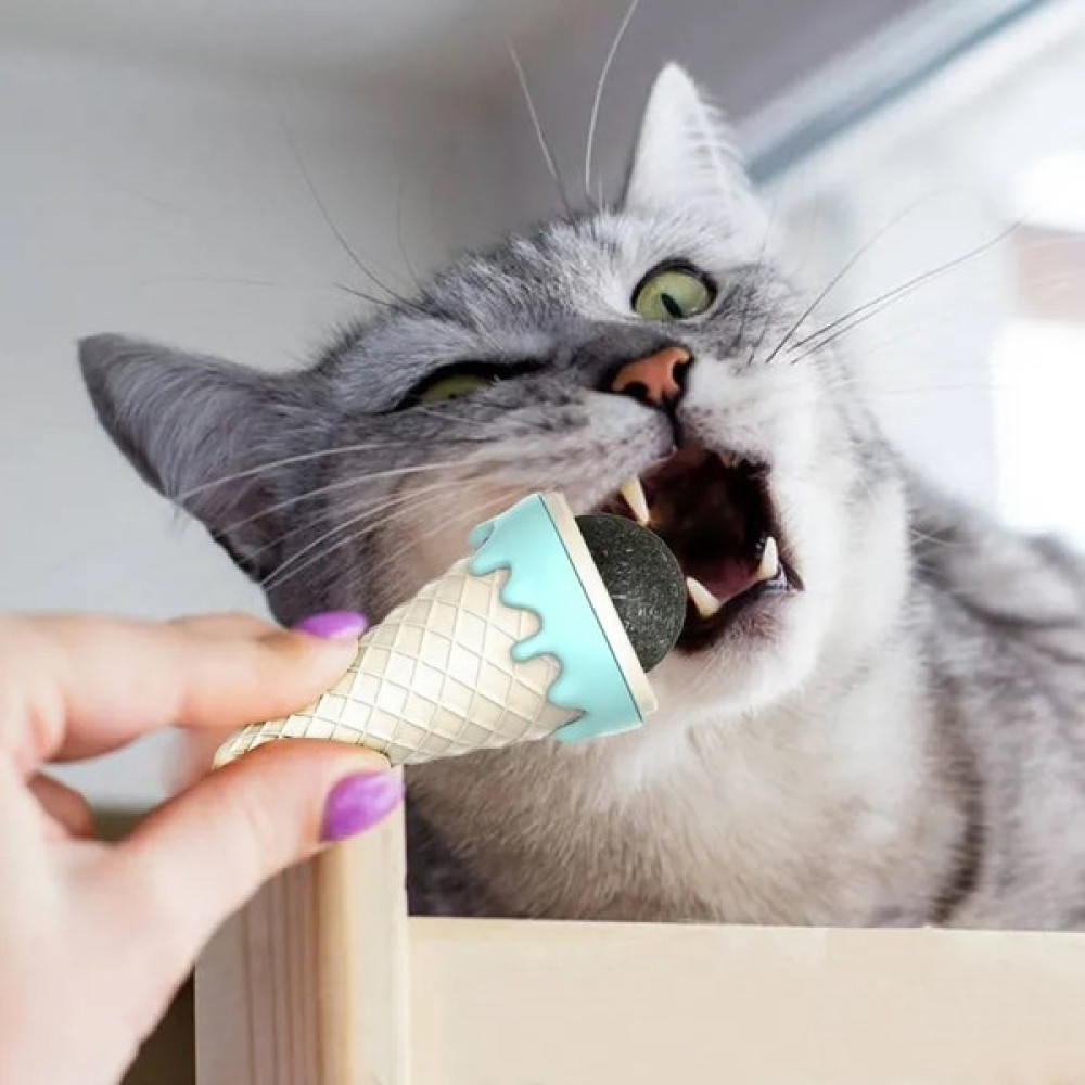 Khalice Dondurma Şeklinde Kedi Nanesi Kedi Otu Evcil Hayvan Ürünleri Fiyatı