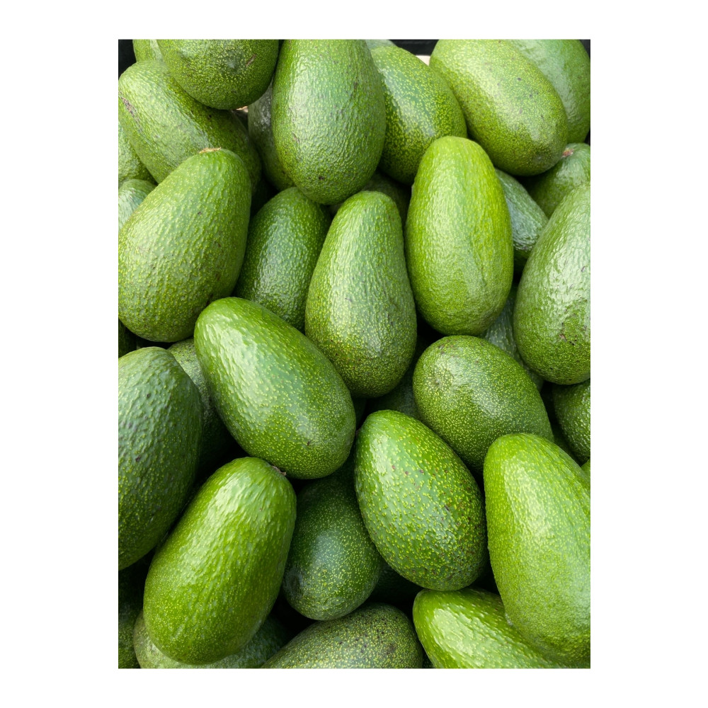 KILINÇ TROPİKAL 1 Kg Avokado Meyve Fiyatı