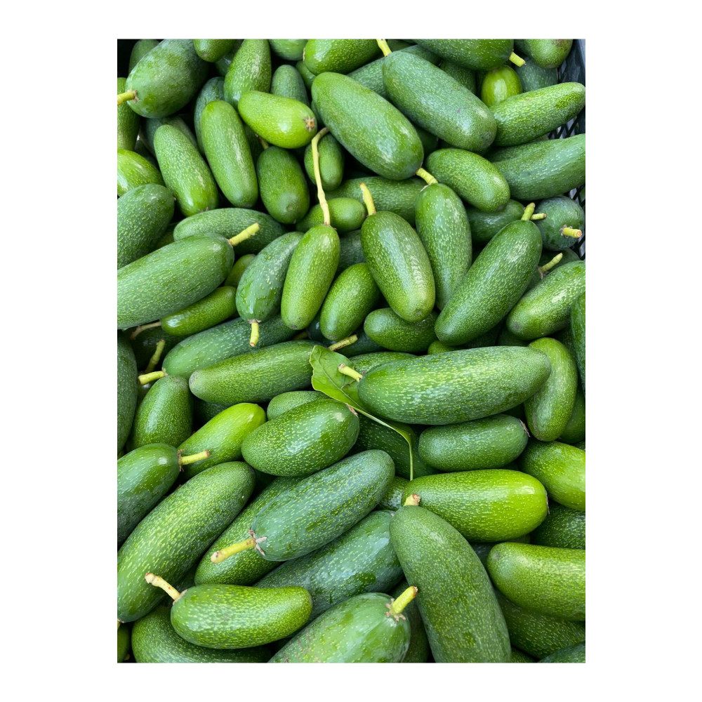 KILINÇ TROPİKAL Bebek Avokado 1 Kg Meyve Fiyatı