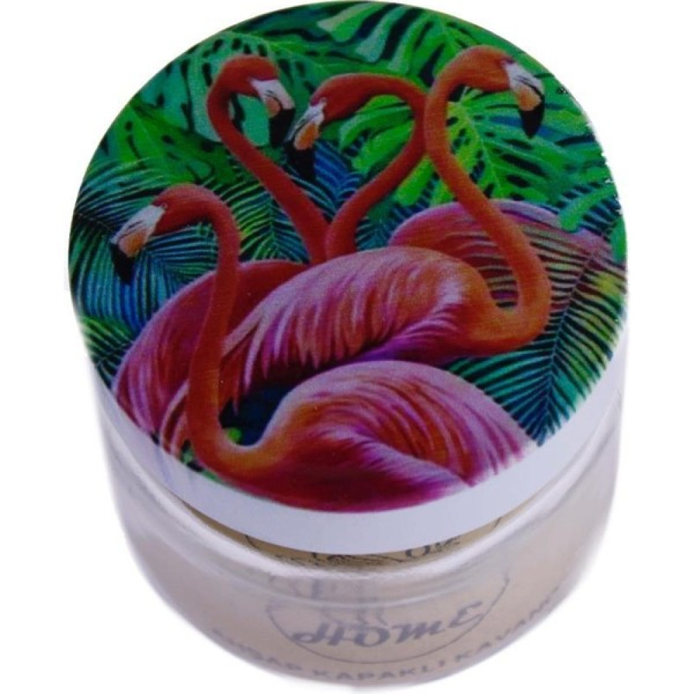 King Home Sandıklı Flamingo Desenli 3'lü Bahartlık Seti 580 ml - Şeffaf Baharat Setleri & Baharatlıklar Fiyatı
