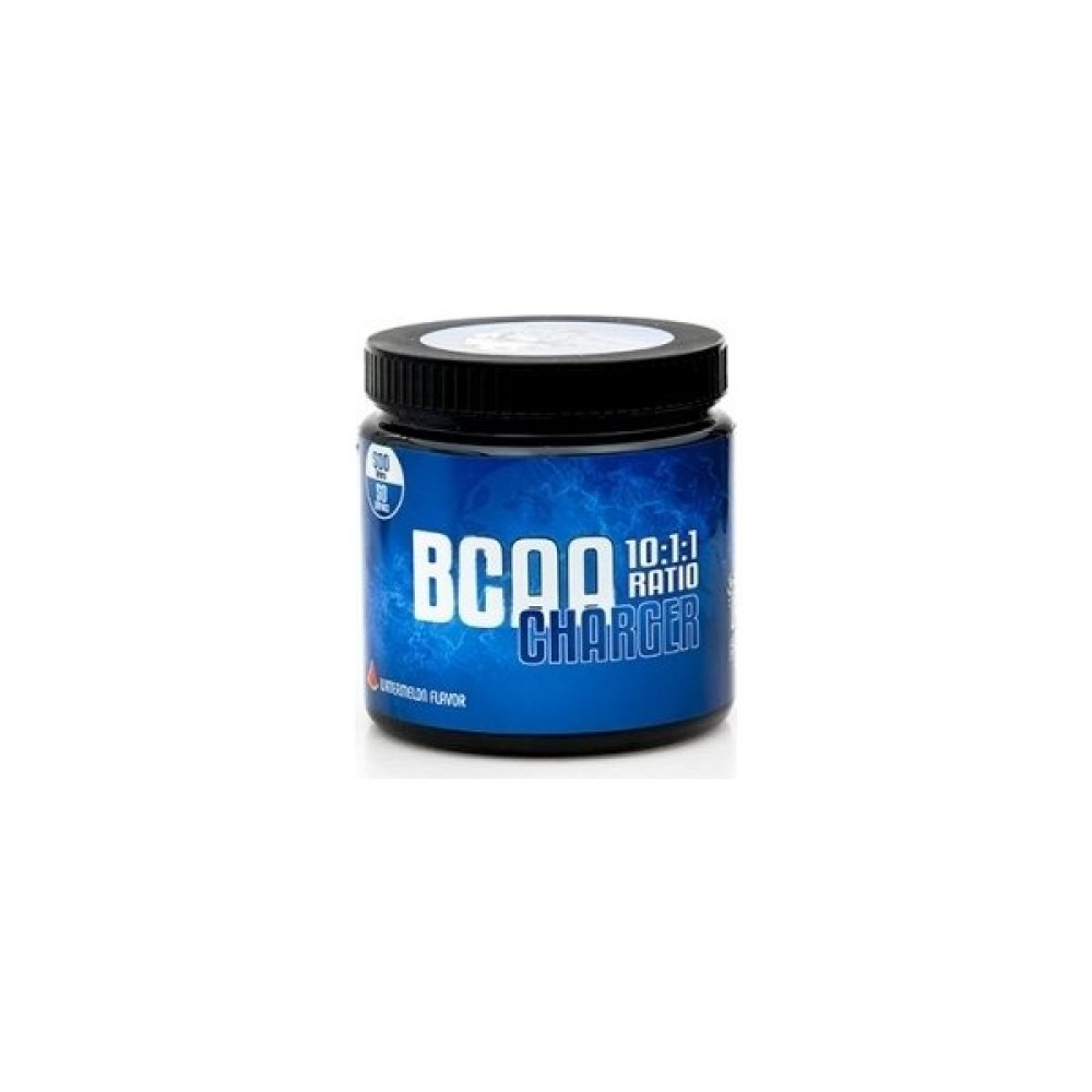 King Panda Sports King Panda Bcaa Charger 10:1:1 500 gr Amino Asit Fiyatı
