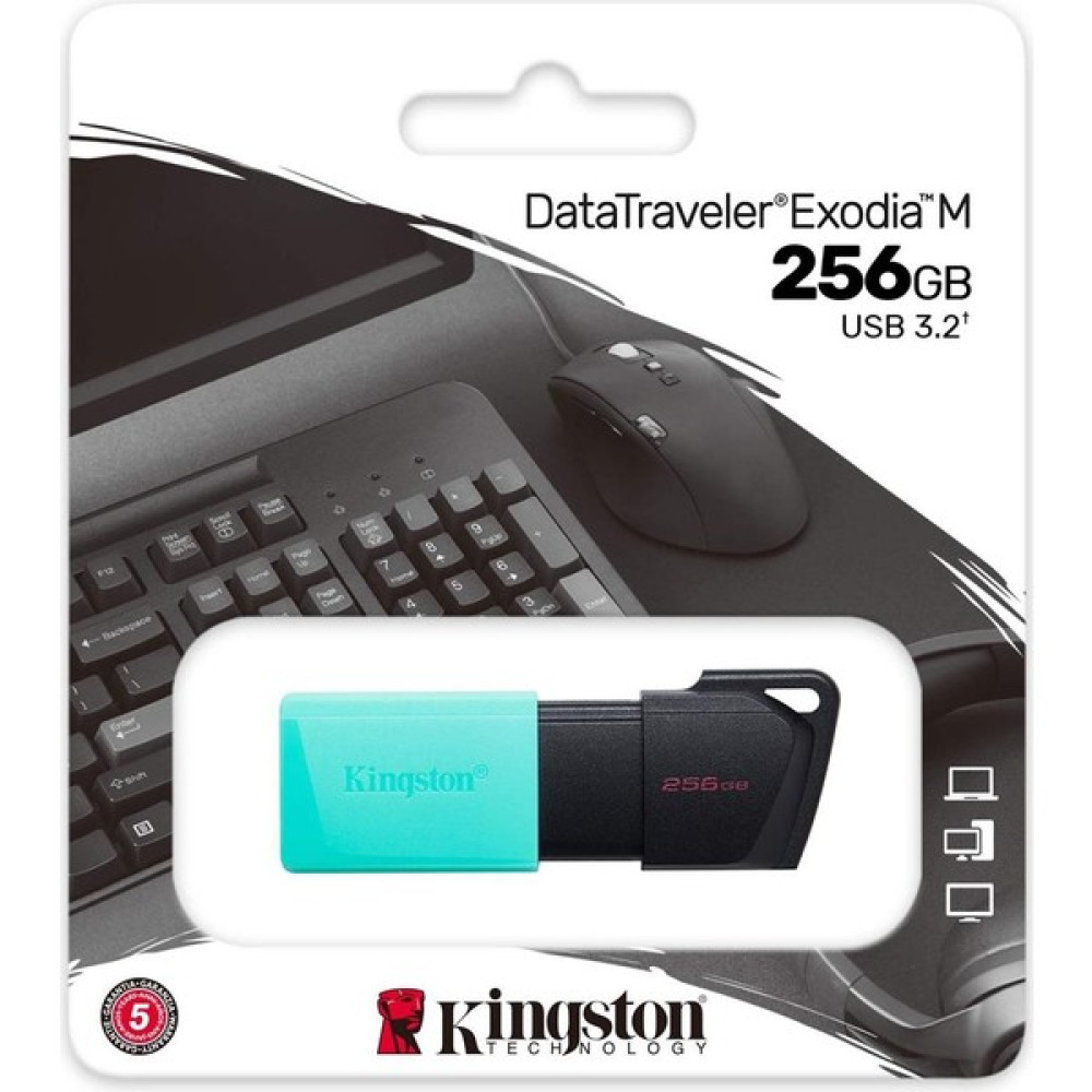 Kingston 256GB Usb3.2 DTXM/256GB Exodia M Kıngston Oto Boyaları Fiyatı