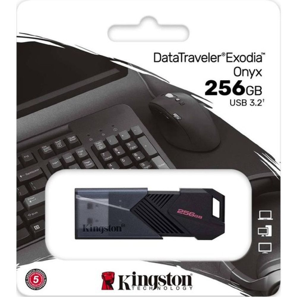 Kingston 256GB Usb3.2 DTXON/256GB Exodia Kıngston Flash Bellekler Fiyatı