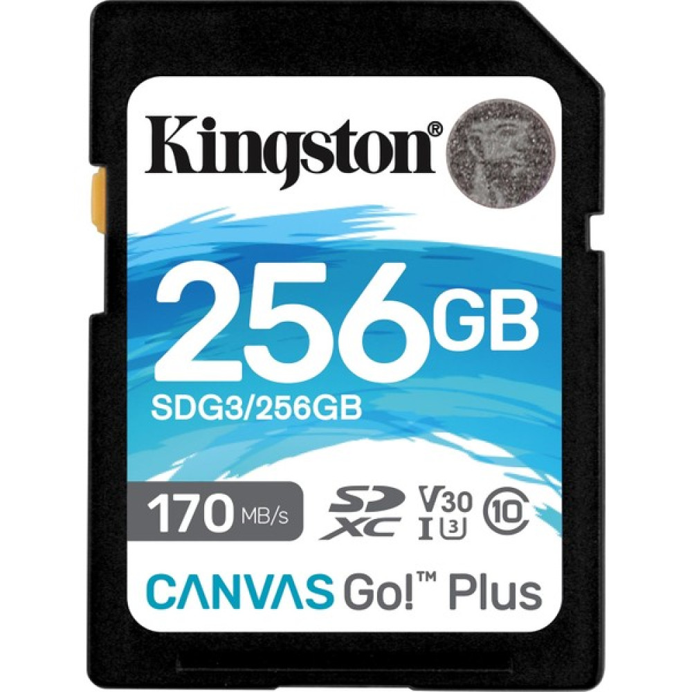 Kingston Canvas Go Plus 256GB Class 10 USH-I Hafıza Kartı SGD3/256GB Hafıza Kartları Fiyatı