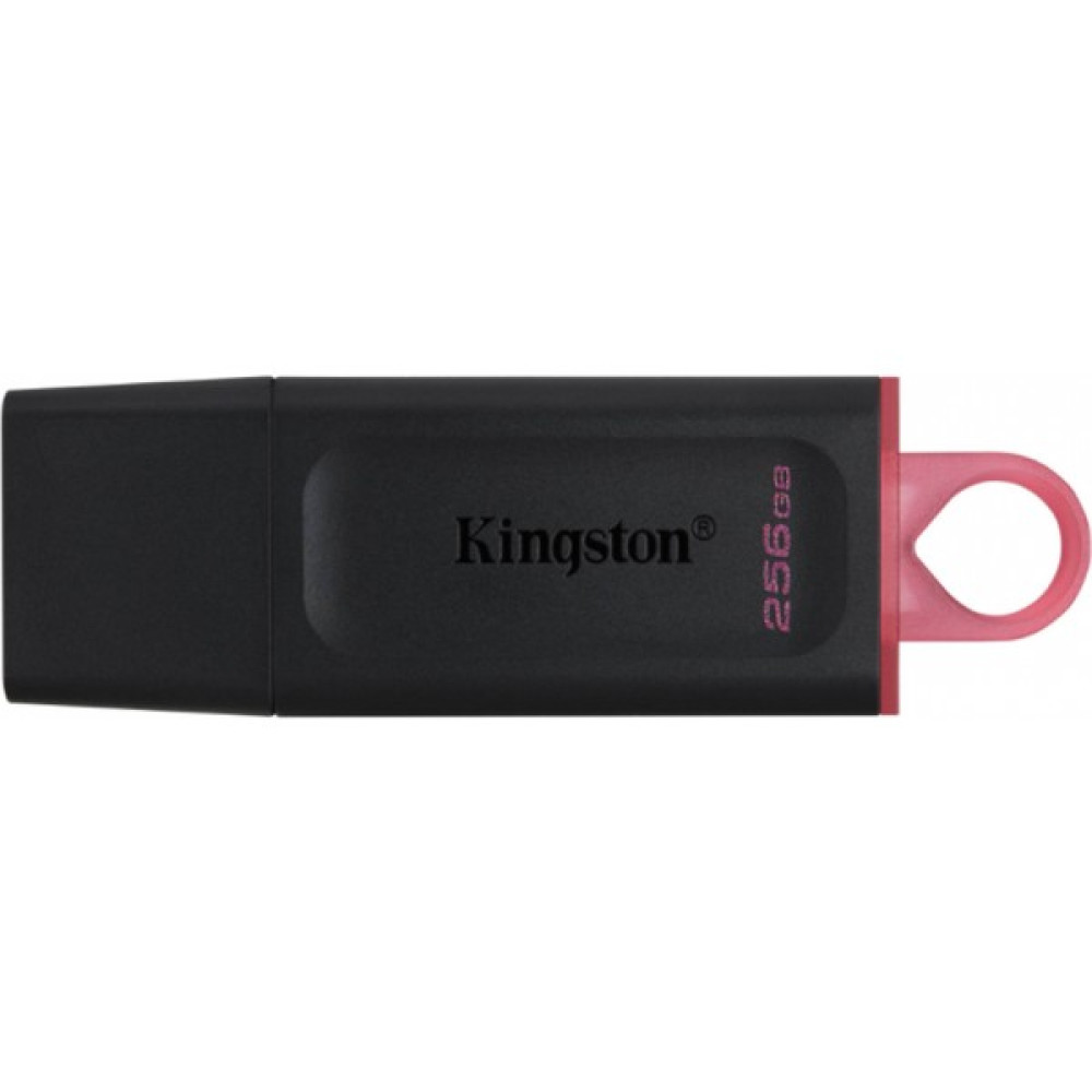Kingston Usb3.2 Gen1 DTX/256GB Exodia Yüksek Hızlı Flash Bellek Flash Bellekler Fiyatı