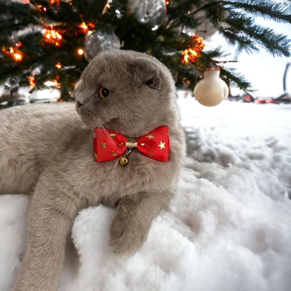 Kırmızı Yıldızlı Yılbaşı Tema Kedi Tasması Evcil Hayvan Ürünleri Fiyatı