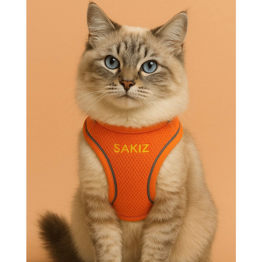 Kişiye Özel Kedi Gezdirme Tasması Airmesh Isimli Kedi Göğüs Tasması Esnek Kedi Tasması - Turuncu - XS Evcil Hayvan Ürünleri Fiyatı