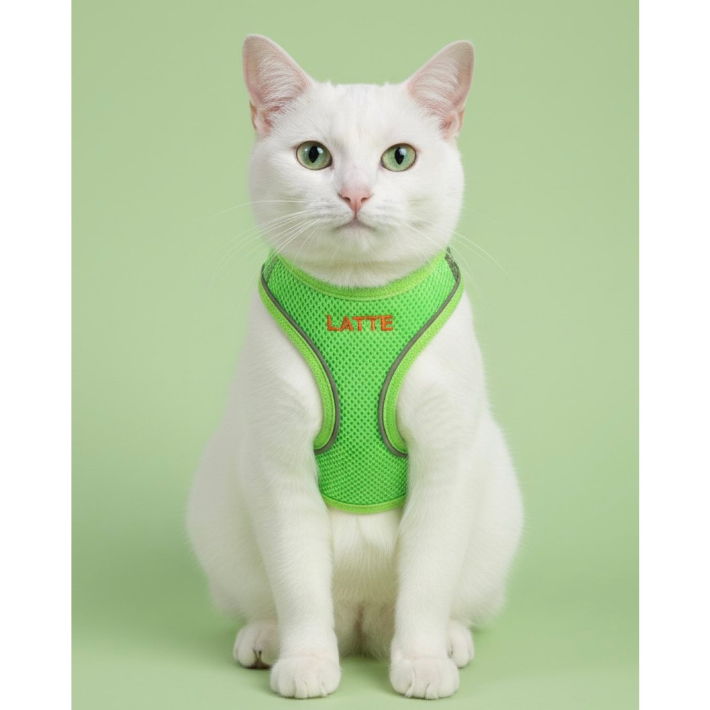 Kişiye Özel Kedi Gezdirme Tasması Airmesh Isimli Kedi Göğüs Tasması Esnek Kedi Tasması - Yeşil - S Evcil Hayvan Ürünleri Fiyatı